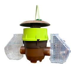 Piège à frelon asiatique...