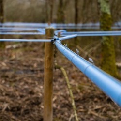 Tubing for producing & harvesting birch sap
