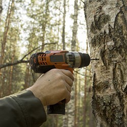 Tools for producing & harvesting birch sap available for purchase