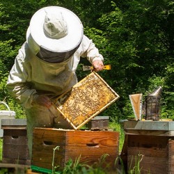 Vente en ligne matériel apicole - Provence Apiculture