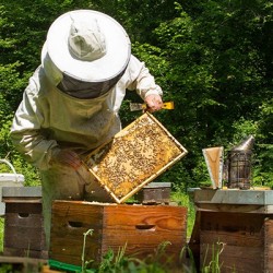 Matériel d'apiculture & équipement apiculteur en ligne